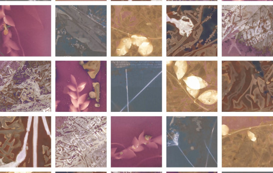 Byron Carol 6LumenPrintPaperQuilt