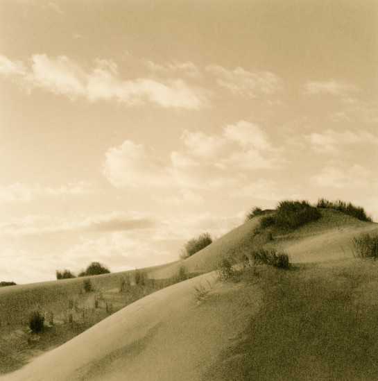 Bowers_Joan_4Eel-River-Dunes