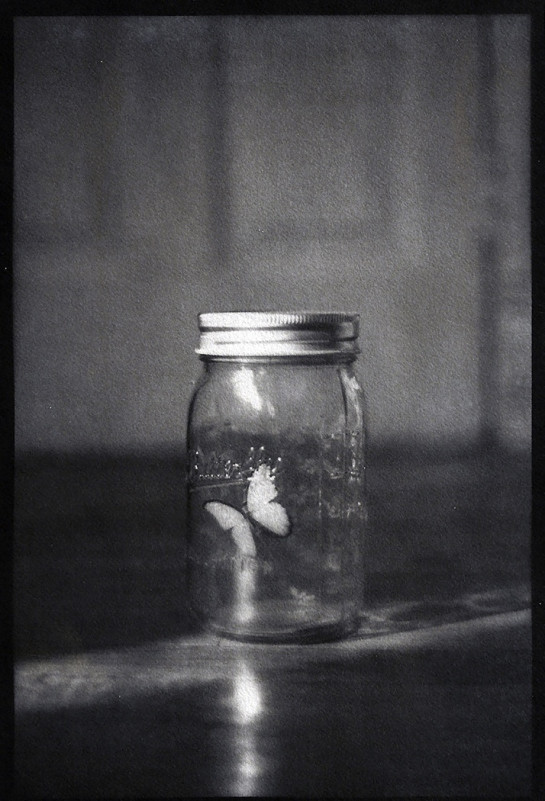 Foley_Rebecca_1ButterflyJar