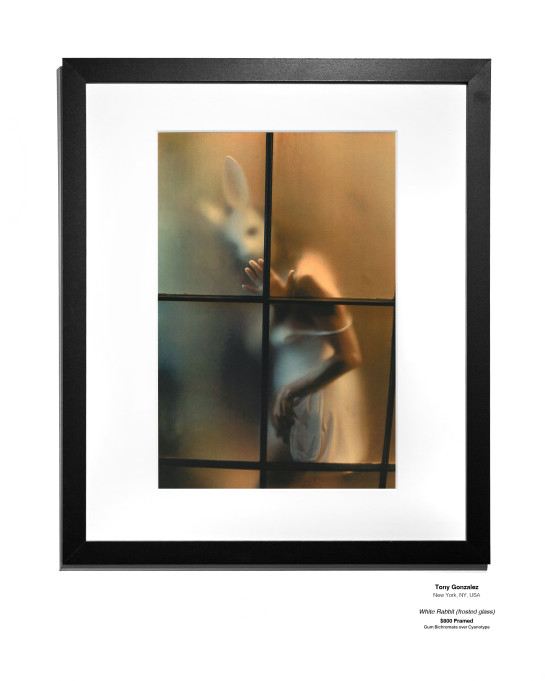 ANALOG Installation 03