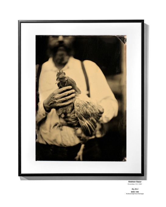 ANALOG Installation 07