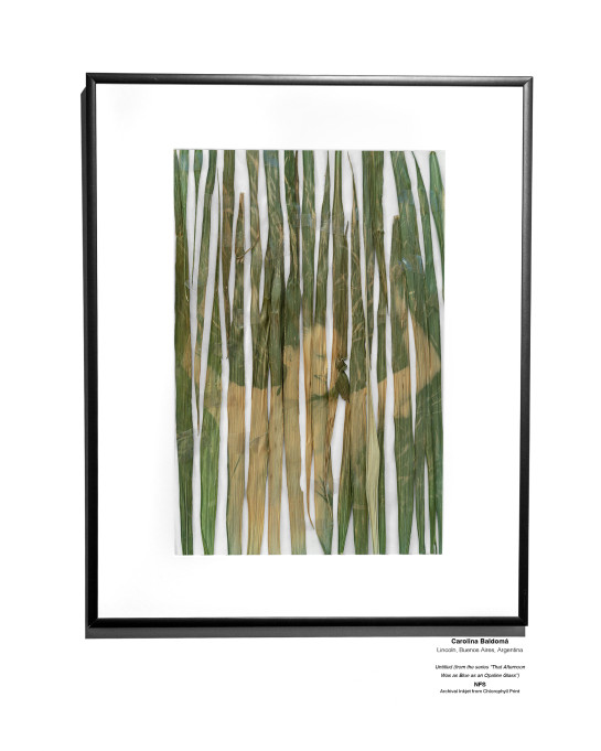 ANALOG Installation 12 v2