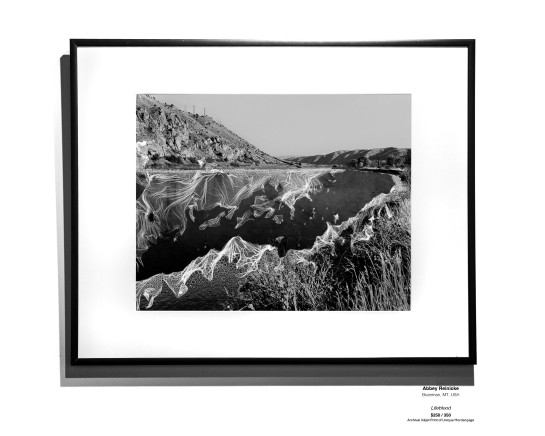 ANALOG Installation 22