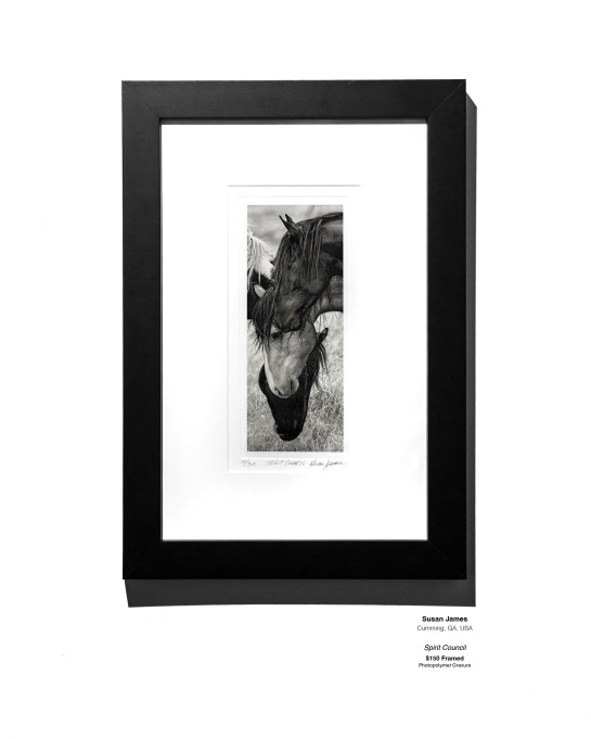 ANALOG Installation 27 v2