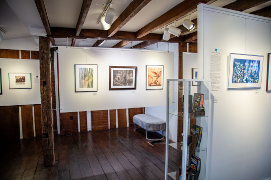 ANALOG Installation 36