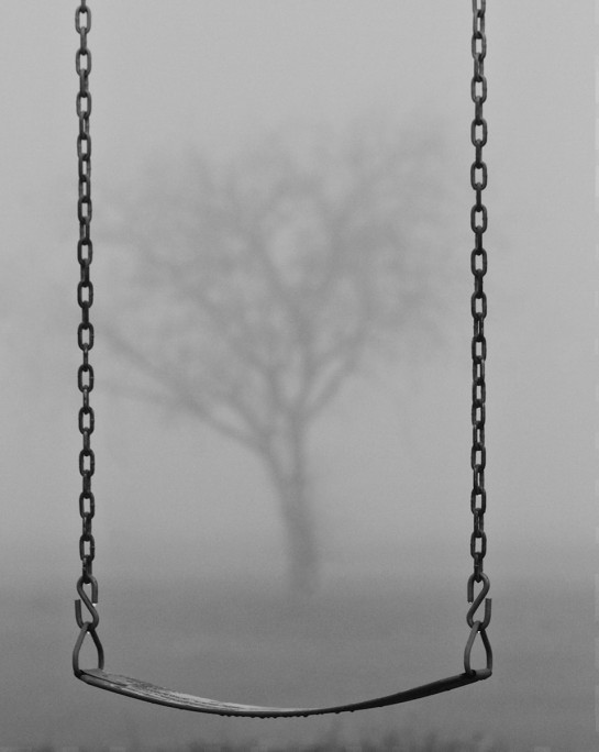 Fog in the park