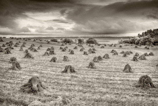 Corbin_Sarah_3 Hay fields