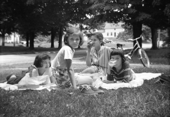 Hawkins_David_8Girls Front Lawn Picnic