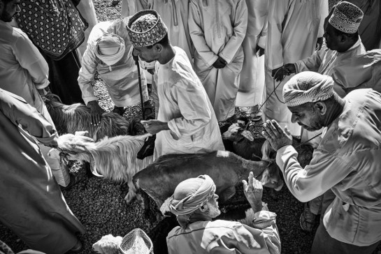 Eaton_John_5_Haggling_at_The_Goat_Market