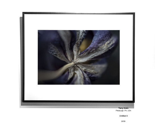 Botanical 31
