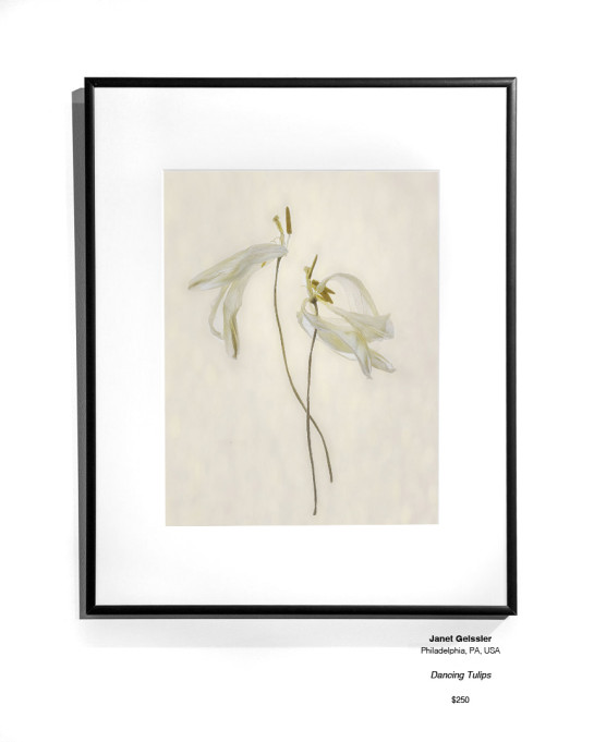 Botanical 34