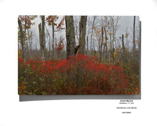 Botanical 39