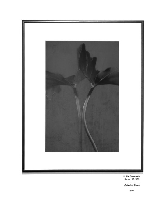 Botanical 40