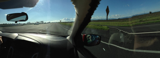 Rindskopf_Amy03-Road-to-Napa