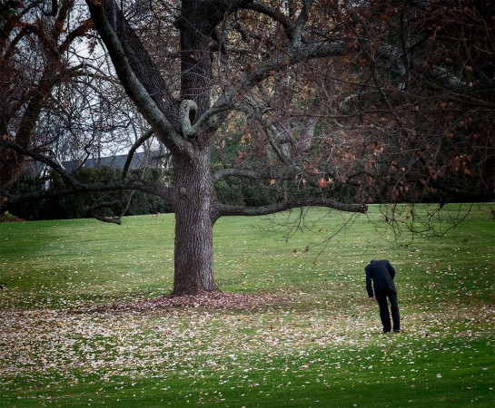 Zafran_Fred_6Beneath the Tree