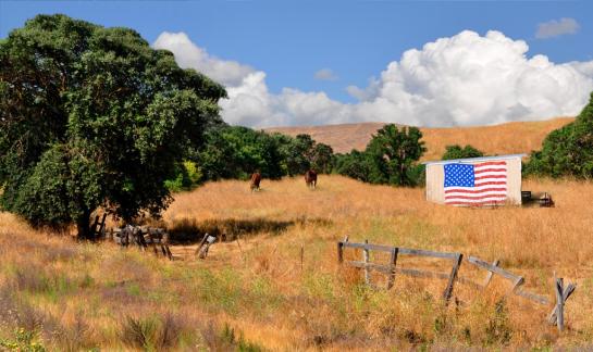 Yudelson_Dianne_01American Heartland