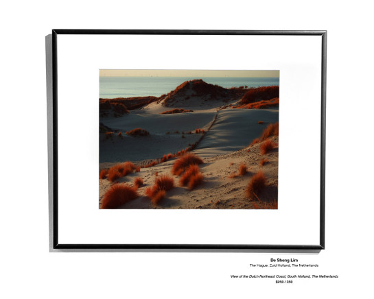 CoastalLandscape 02