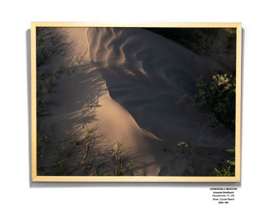 CoastalLandscape 08