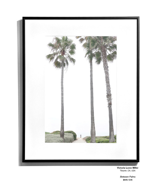CoastalLandscape 09