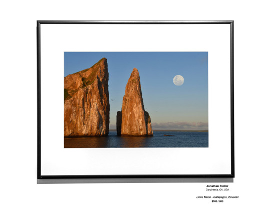 CoastalLandscape 10