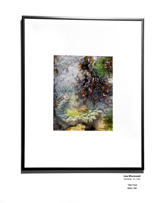 CoastalLandscape 12