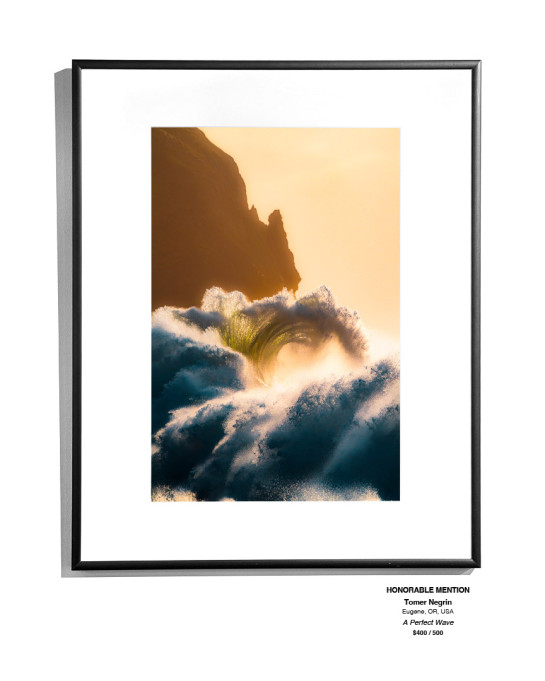 CoastalLandscape 15