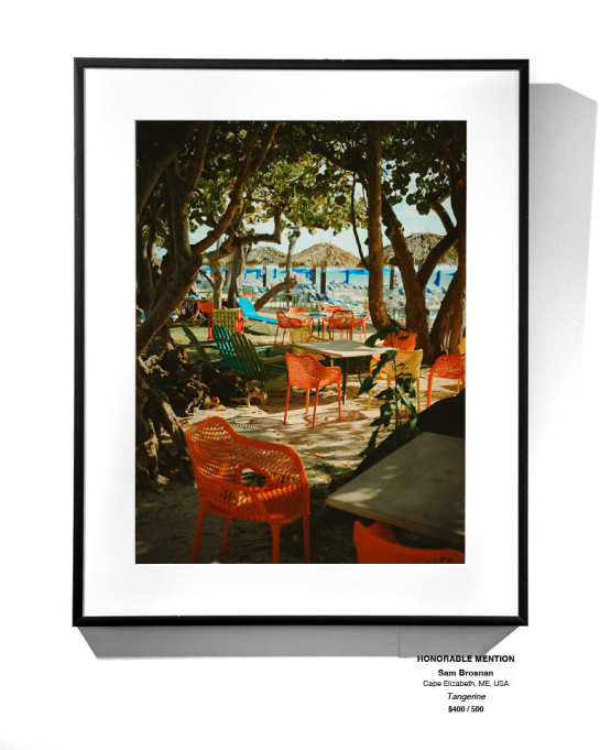 CoastalLandscape 19