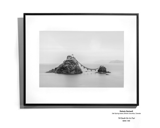 CoastalLandscape 26
