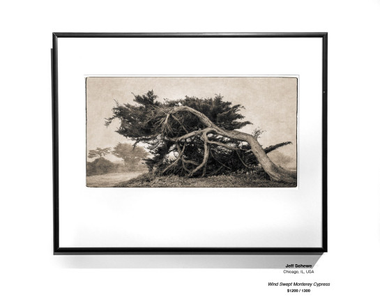 CoastalLandscape 33