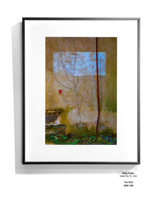 Color InstallationGallery28