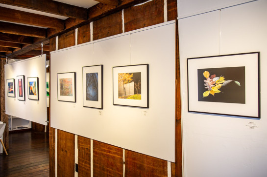 Color InstallationGallery43
