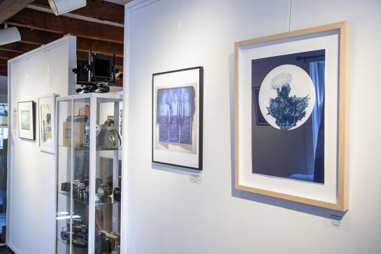 Cyanotype Install53