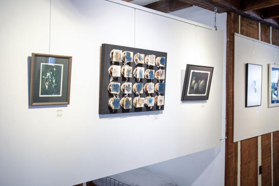 Cyanotype Install58