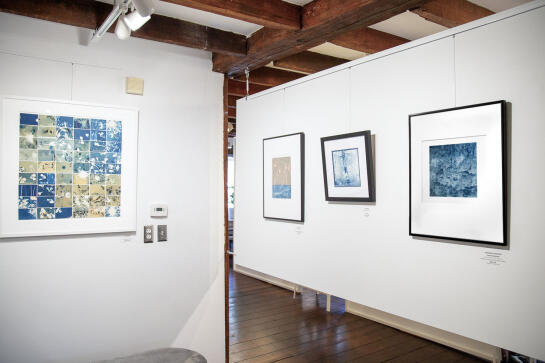 Cyanotype Install61