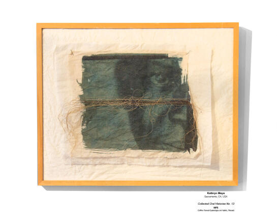Cyanotype Installation 01