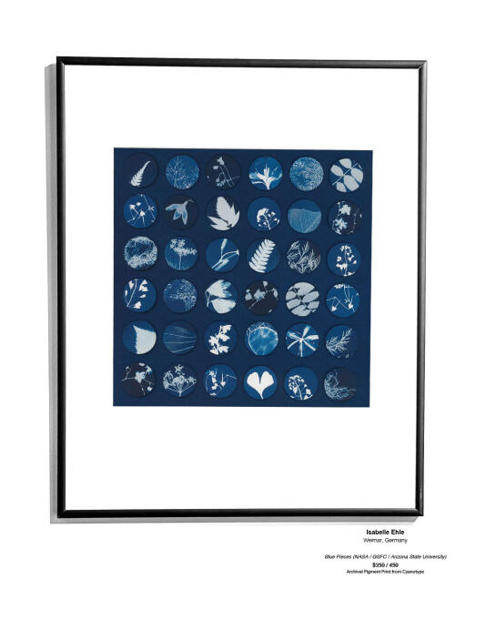 Cyanotype Installation 02
