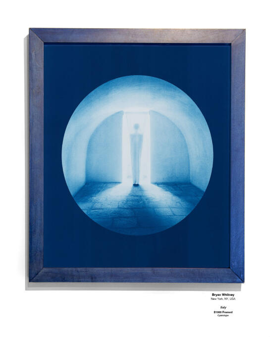 Cyanotype Installation 03
