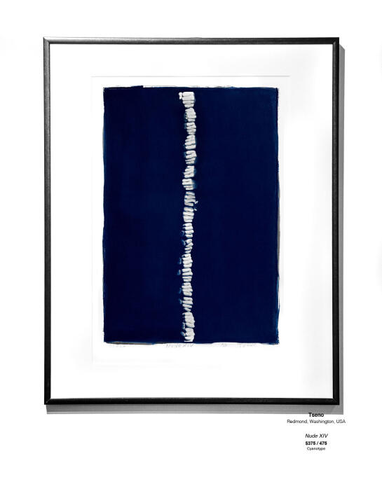 Cyanotype Installation 04
