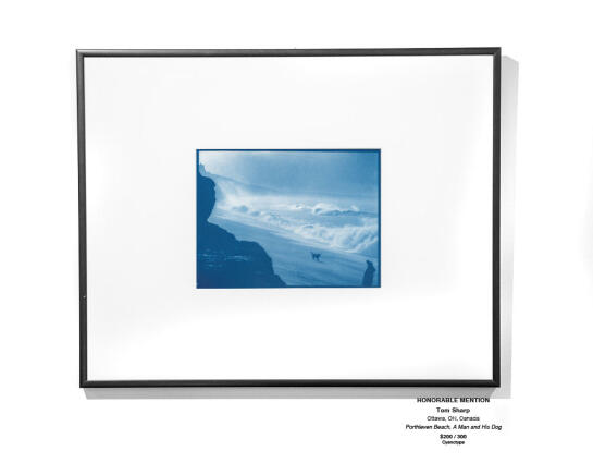 Cyanotype Installation 05