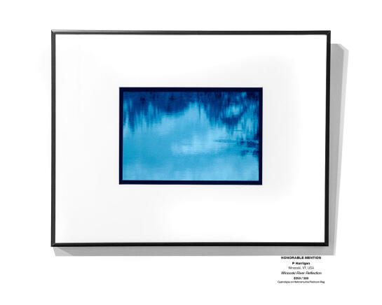 Cyanotype Installation 07