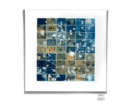 Cyanotype Installation 08