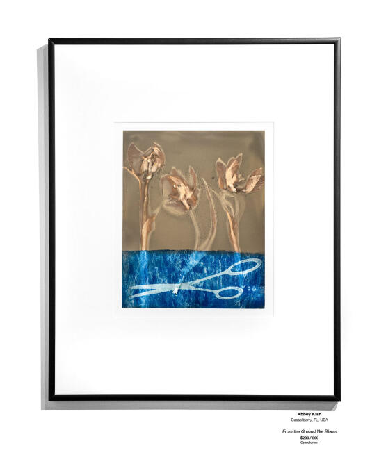Cyanotype Installation 09