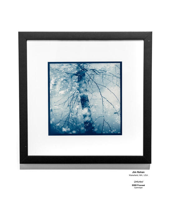 Cyanotype Installation 10
