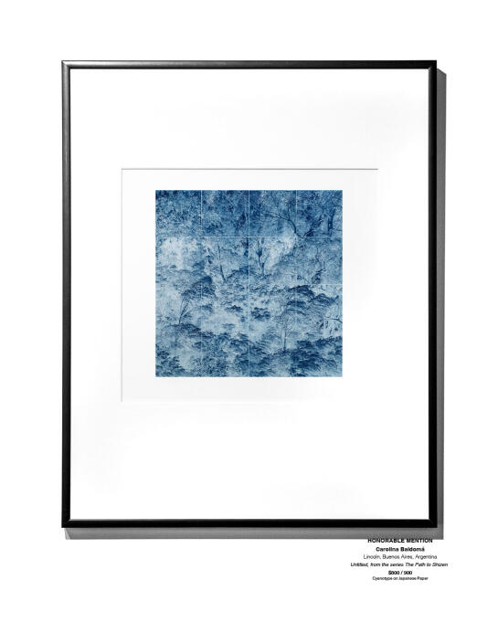 Cyanotype Installation 11
