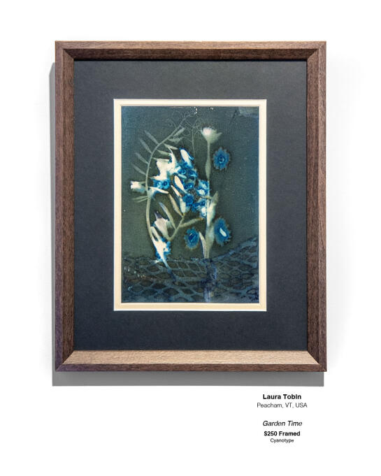 Cyanotype Installation 12