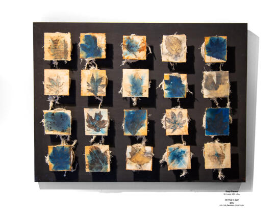 Cyanotype Installation 13