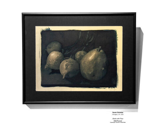 Cyanotype Installation 14