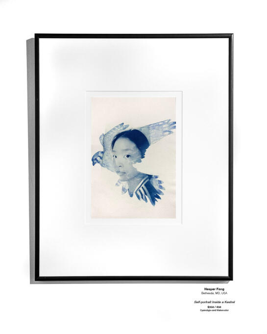 Cyanotype Installation 15