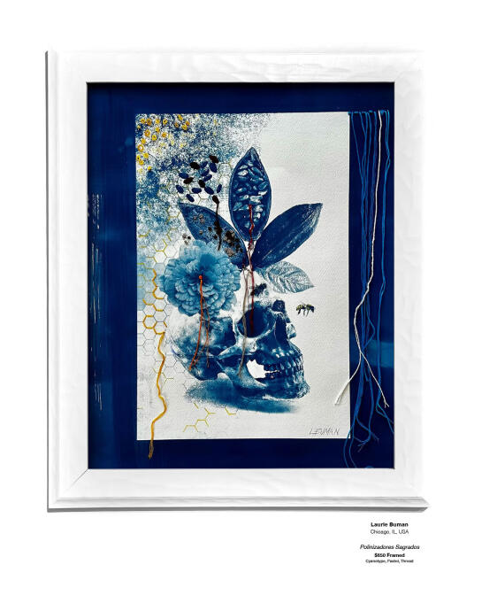 Cyanotype Installation 16