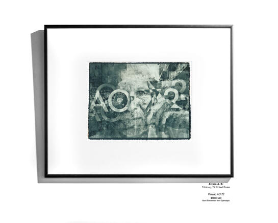 Cyanotype Installation 20
